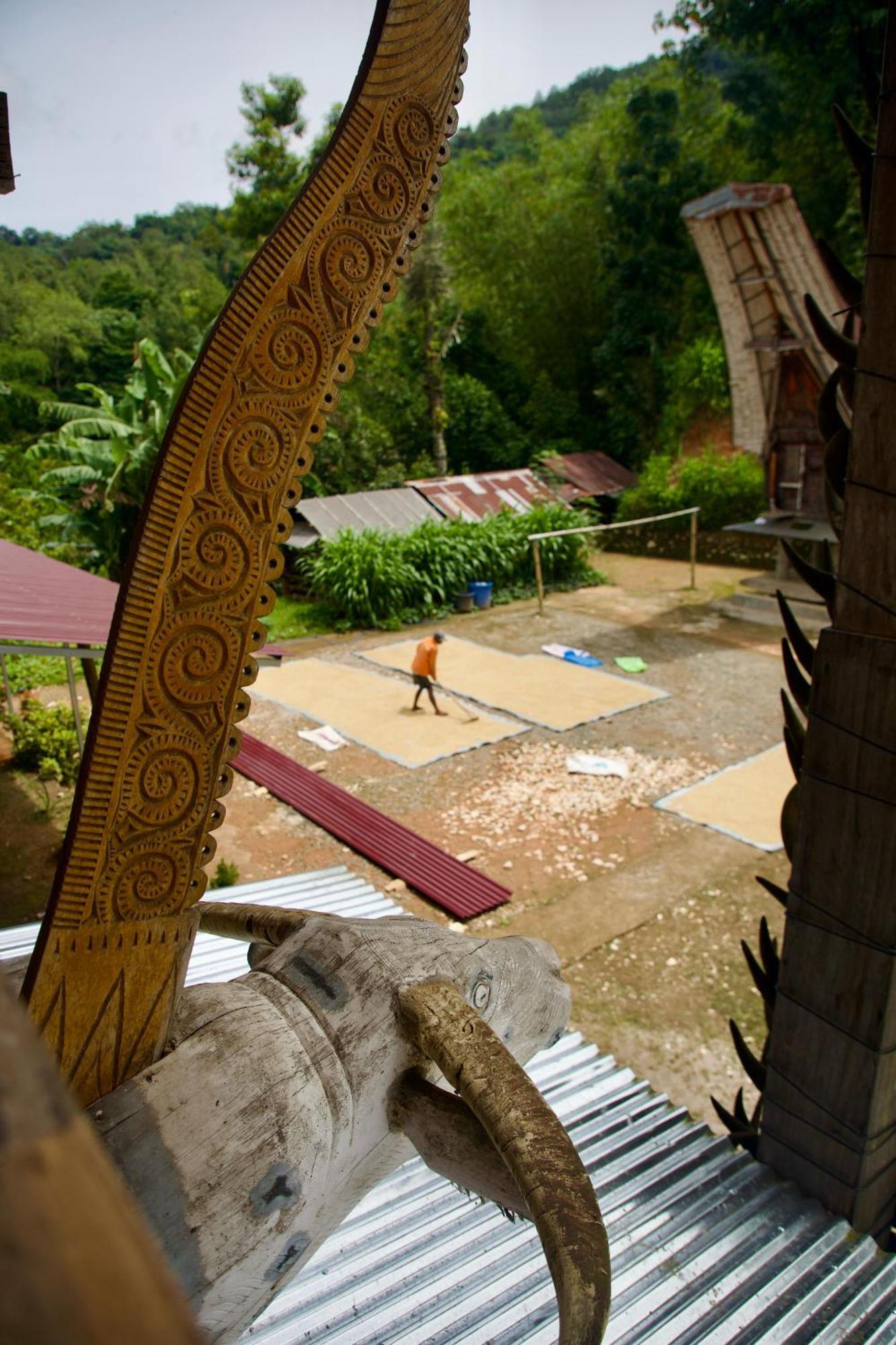 Authentique Homestay Rantepao Buitenkant foto